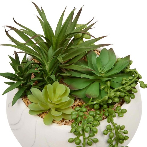 Plante grasse artificielle - plante,