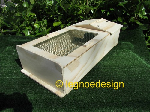Boîte pour tortue - boîte,