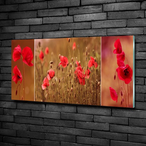 Tulup tableau sur verre - tulup,