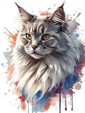 Photo A4 Chat Persan Smoke