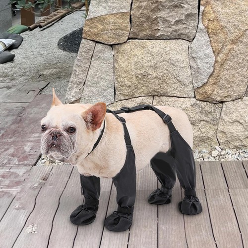 Bottes pour chien leggings - pour,
