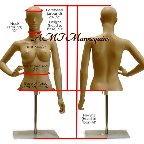 Skin tone female half body - tone,