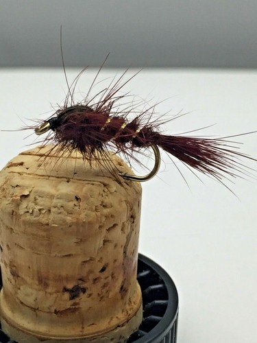 Mouche pêche prime - mouche,