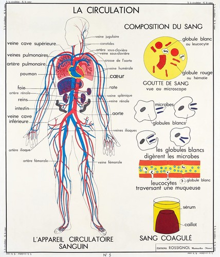 Carte vidal lablache corps - carte,