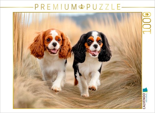 Calvendo puzzle cavalier king - puzzle,