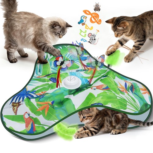 Jouet chat interieur - jouet,