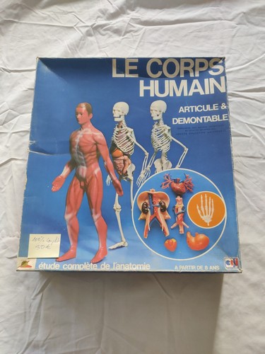 Corps humain articulé et - corps,