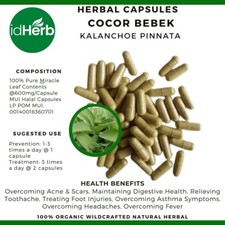 Capsules Kalanchoe Pinnata Cocor Bebek Natural herbal Organic 100% Herbs