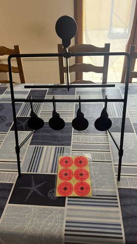 Cible pivotante zones elite - 5,