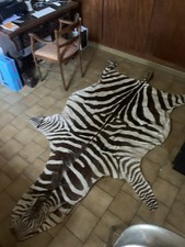 Veritable Peau De Zèbre 