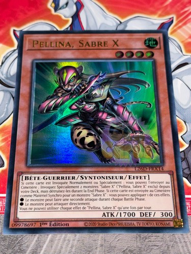 Carte pellina sabre - yu,