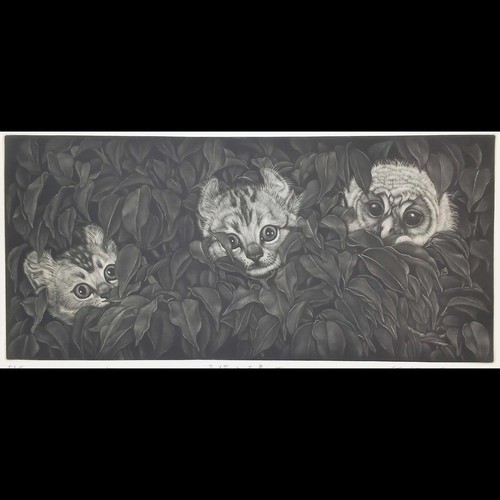 Koji ikuta kitten and owlet - ikuta,