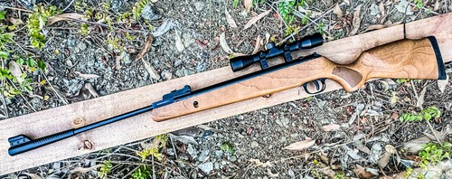 Hunting air pellet rifle gun - hunting,