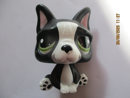 French bulldog petshop 1762 - bulldog, n°1762