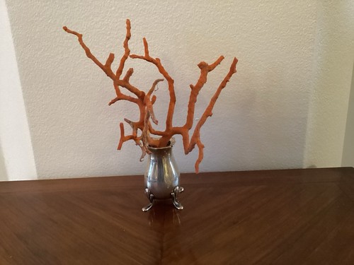 Branche corail rouge - de,