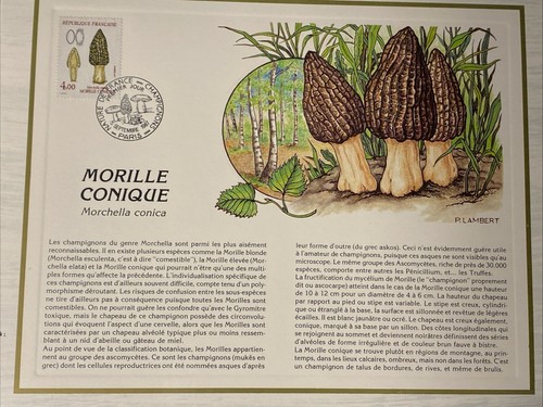France feuillet cef 877 - feuillet, n°