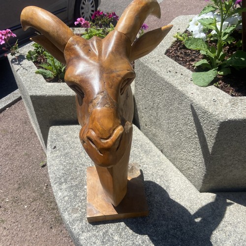 Tete bouc teck verni 40 - en,