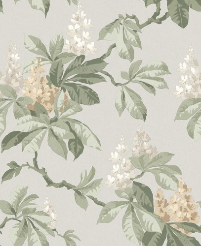 M1821 ashdown botanique - m1821_ashdown,