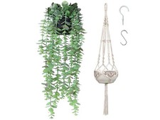 Plantes en Pot Suspendues