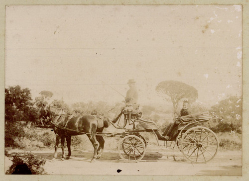 Femme dans une calèche