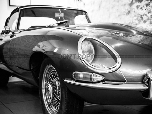 Photo jaguar type - photo,