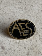 Pin’s AES Dijon Faluche