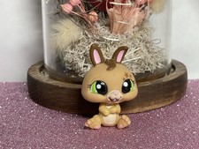 🌸 petshop lapin nain