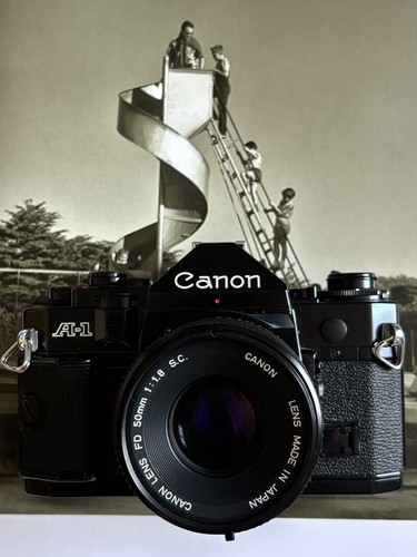 Appareil photo reflex