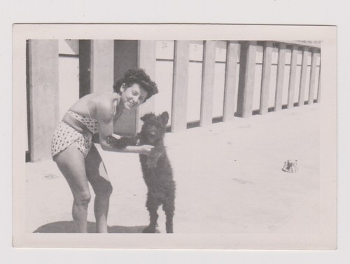 Photo ancienne femme - photo,