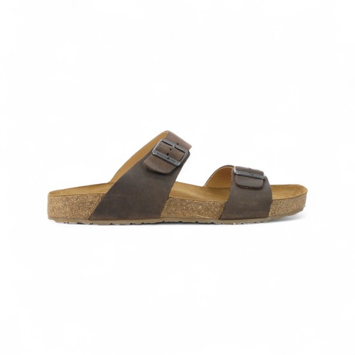 Haflinger unisex andrea brown - haflinger,
