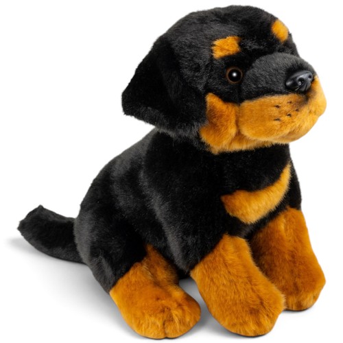 Carl dick rottweiler assis - carl,