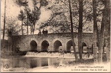 *66110 postcard 45 Ferrières in Gatinais - le Gril de Corbelin