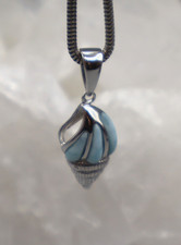 Larimar Pendentif Coquille