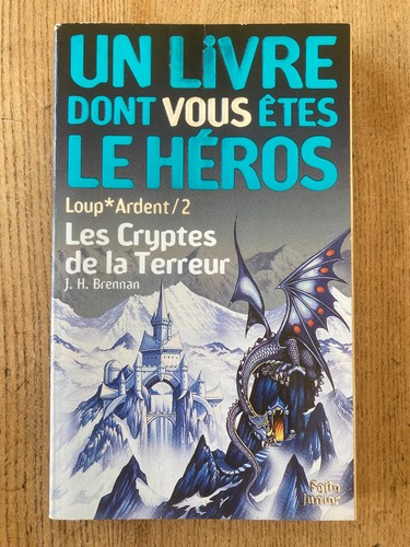 Livre dont vous êtes le - vous,