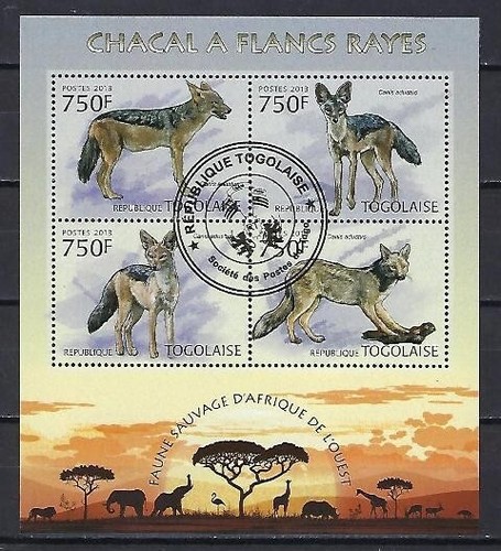 Animaux chacal togo - animaux,