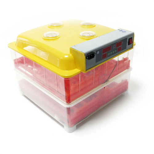 Couveuse automatique œufs - automatique, 72