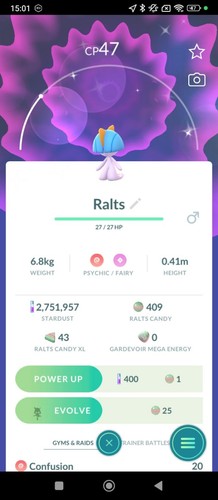 Rats male shiny - male,