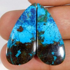 Vente en gros 31.15Cts. Paire