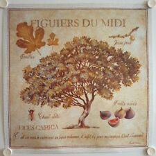 FIGUIERS DU MIDI NATURE POSTER - PAUL CESSOU