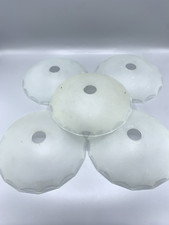 Lot de 5 tulipes plates