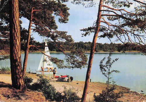 Beaugency etang des - des, bois