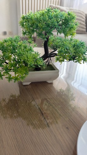 Bonsaï artificiel vert - , pot