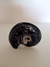 pierre fossilisé " escargot "