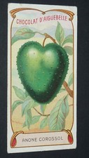 CHROME 1900-1920 CHOCOLATE AIGUEBELLE MONASTERY DROME ANONE TROPICAL SOURSOL