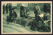 Old postcard Vendée, Do crates latian fine full of biâ ducks, Pays de la Loire 