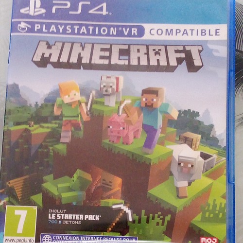 Mojang minecraft jeu ps4 pal - jeu,