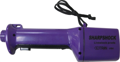 Sharpshock electric shocker - electric,