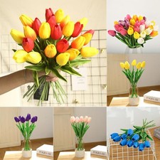 Tulipe élégante fleurs