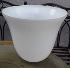 GRANDE TULIPE OPALINE