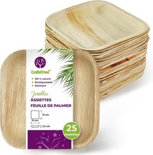 Assiettes Jetables en Feuille de Palmier, 25 Assiettes carrées de 15 cm pour